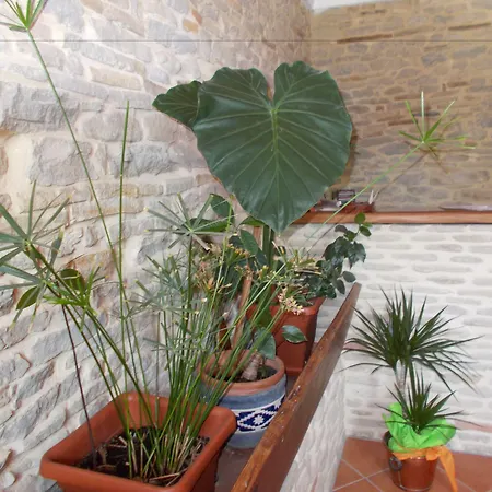 Ercolana Vakantieboerderij *